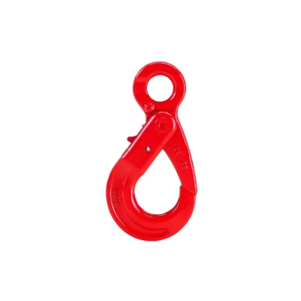 Γάντζος Αυτοασφαλιζόμενος με Μάτι - G80 - Import