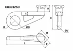 Τεχνικό σχέδιο γάντζου container με ISO point G80_1
